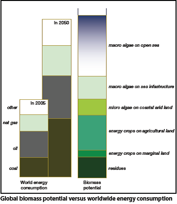 Image of graph of Global biomass potential v worldwide energy consumption